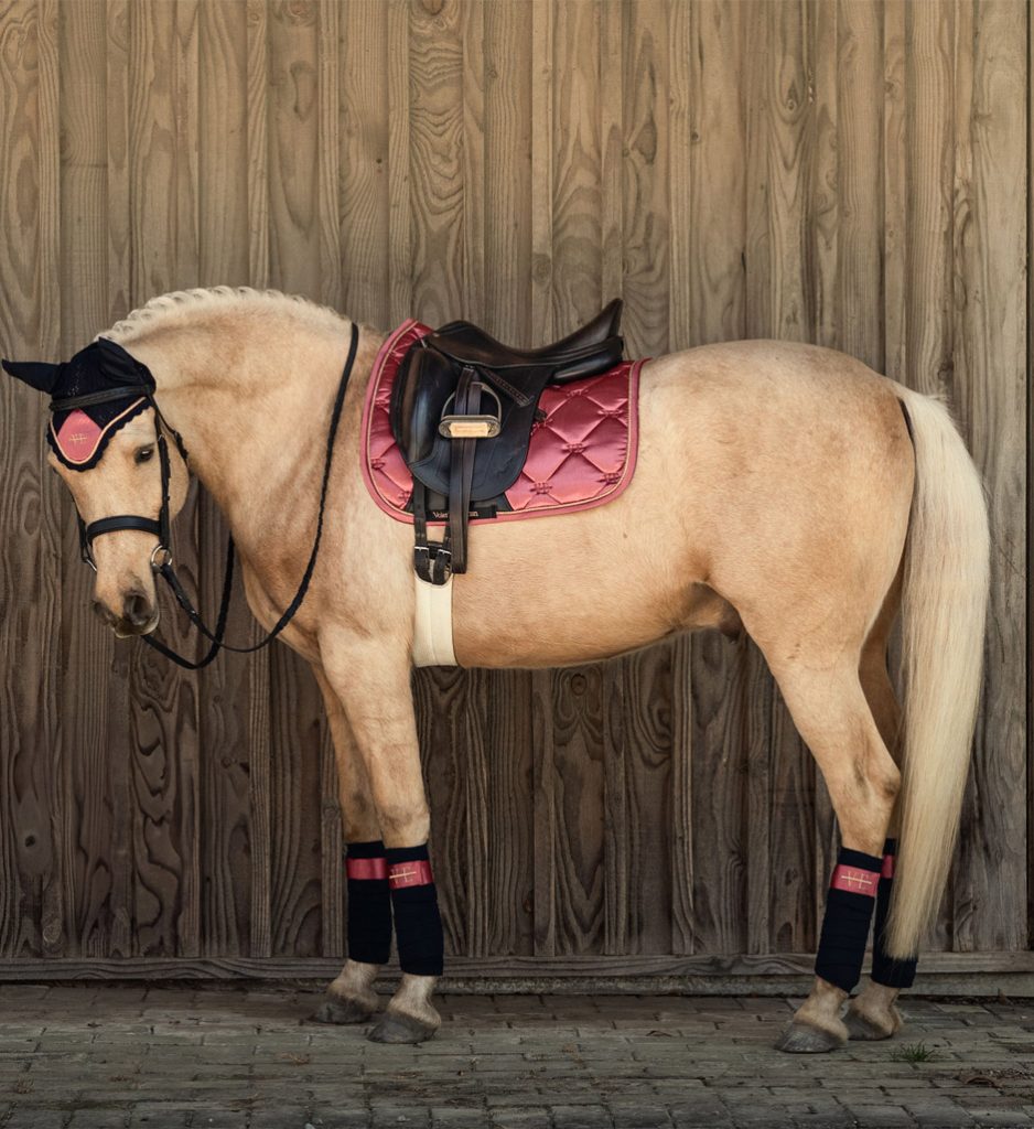 New! Ruby Rose Saddle Pad- Navy Blue and Red main image 1