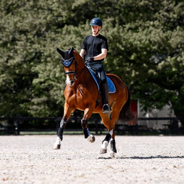 Dressage Saddle Pad | Twilight Orchid - Image 4